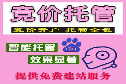 百度广告投放策略优化及成功案例解析